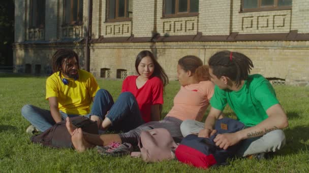 Різні багатоетнічні студенти відпочивають на кампусній галявині — стокове відео
