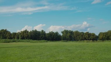 Mutlu baba ve oğul sahada futbol oynuyor.