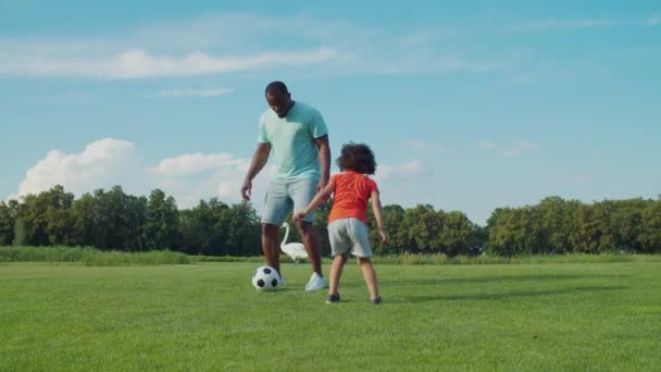 Apa és fia foci edzést tartanak a zöld mezőn. — Stock videók