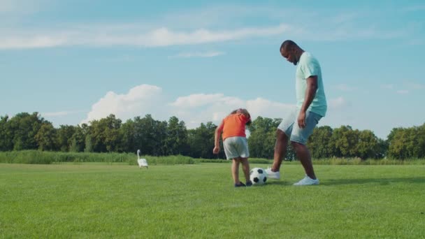 Família com criança jogando futebol ao ar livre — Vídeo de Stock