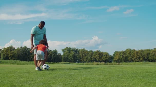 Pai ensinando menino para jogar futebol em campo — Vídeo de Stock