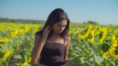 Güzel siyah kadın ayçiçeği tarlasında dinleniyor.