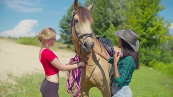 Alegre mujer aprendiendo a montar a caballo al aire libre — Vídeos de Stock