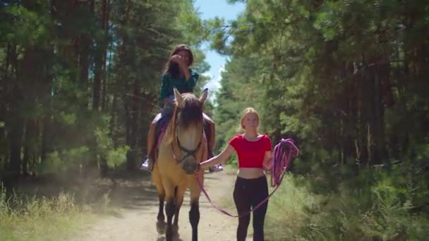 Jolie femme apprenant l'équitation dans la nature — Video
