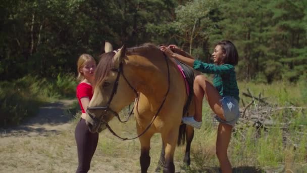 Mujer jinete subiendo a la silla de montar a caballo — Vídeos de Stock