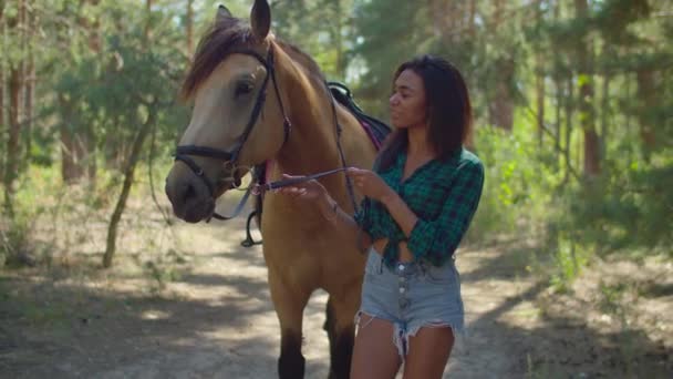 Jinete femenino con caballo de pura raza paseando en madera — Vídeo de stock