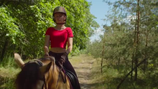 Schwere Reiterin mit Helm reitet auf Pferd — Stockvideo