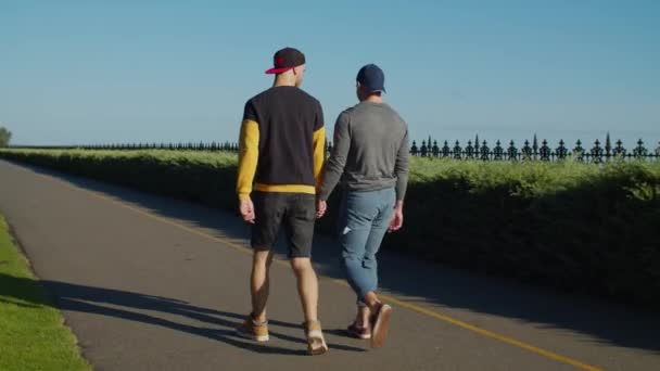Vue arrière de couple gay en amour flânant à l'extérieur — Video