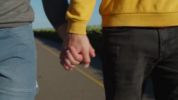 Close-up van gelukkig gay paar holding handen outdoor — Stockvideo