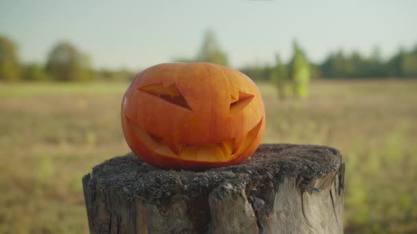 Maldito hacha de cortar rompiendo la calabaza de Halloween — Vídeos de Stock