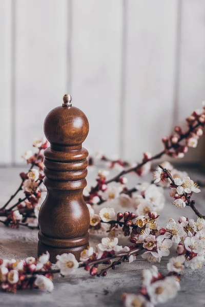 Moulin à poivre ou café vintage en bois sur fond clair avec branche de fleur d'abricot — Photo