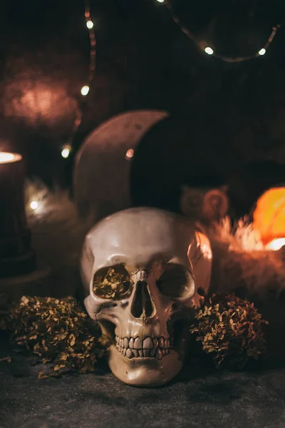 Okkulte mystische rituelle Halloween-Hexerei - menschlicher Schädel, Kerzen, getrocknete Blumen, Mond und Eule — Stockfoto