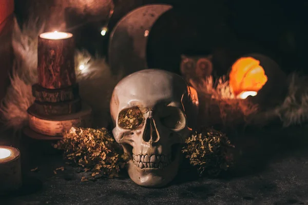 Occult mystiek ritueel Halloween hekserij scene - menselijke schedel, kaarsen, gedroogde bloemen, maan en uil — Stockfoto