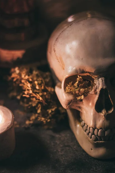 Occult mystiek ritueel Halloween hekserij scene - menselijke schedel, kaarsen, gedroogde bloemen, maan en uil — Stockfoto