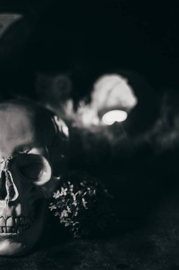 Esrarengiz mistik cadılar bayramı cadılığı sahnesi. İnsan kafatası, mumlar, kurumuş çiçekler, ay ve baykuş. Siyah beyaz fotoğraf.
