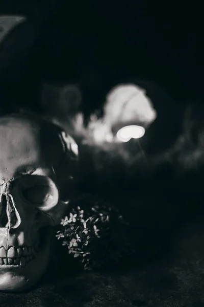 Esrarengiz mistik cadılar bayramı cadılığı sahnesi. İnsan kafatası, mumlar, kurumuş çiçekler, ay ve baykuş. Siyah beyaz fotoğraf.