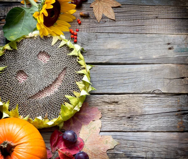 Harvest Thanksgiving autumn fall background with happy sunflower  fruits and vegetables