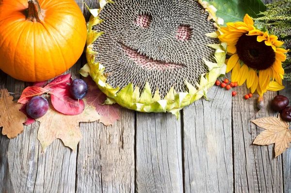 Oogst Thanksgiving Herfst Vallen Achtergrond Met Gelukkig Zonnebloem Groenten Fruit — Stockfoto