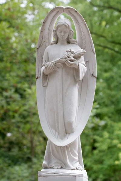 Statua Angelo Bianco Pietra Sul Cimitero Varsavia — Foto Stock