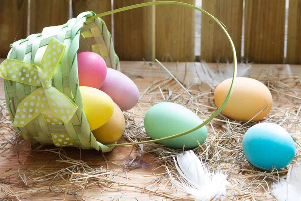 复活节有机五颜六色装饰蛋在鸡舍春天抽象背景 — 图库照片