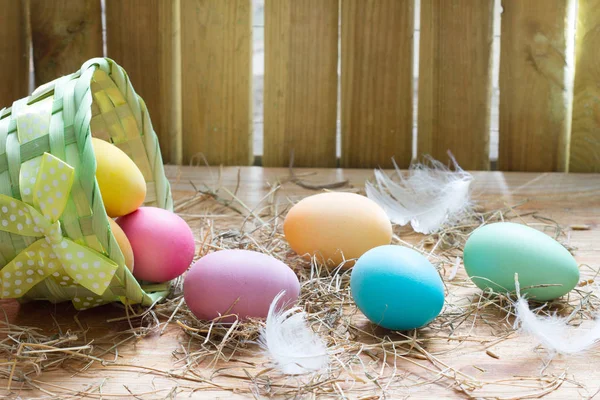 Pasqua Organico Colorato Decorazione Uova Pollaio Primavera Astratto Sfondo — Foto Stock