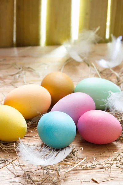 Ostern Organische Bunte Dekoration Eier Hühnerstall Frühling Abstrakten Hintergrund — Stockfoto