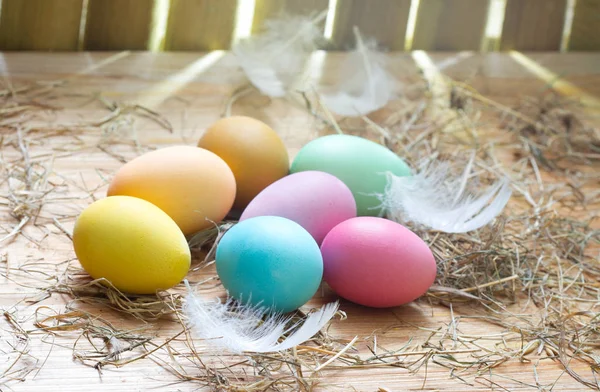 Pascua Huevos Decoración Colores Orgánicos Gallinero Primavera Abstracto Fondo —  Fotos de Stock