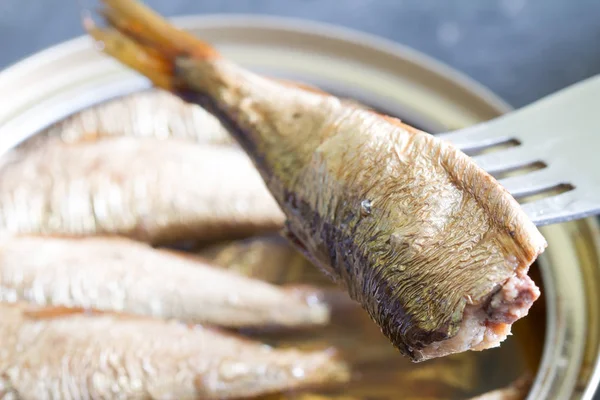 Sardine Pesce Lattina Sott Olio Primo Piano — Foto Stock