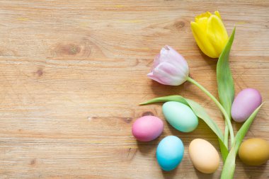 Paskalya renkli basit yumurtaları ve ahşap arka plan bahar laleler