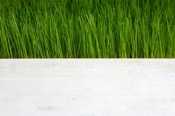 Grünes Gras Und Holzplanke Abstrakten Frühling Hintergrund — Stockfoto