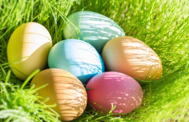 Güneş ışığı çiçek arka plan bahar yeşil çim Paskalya renkli yumurta