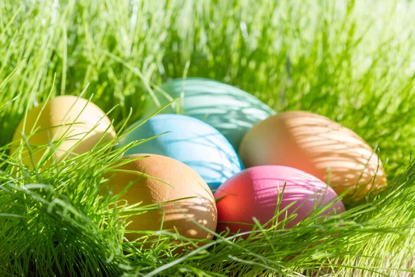 Easter Colorful Eggs Spring Green Grass Sunlight Floral Abstract Background — Stock Photo, Image