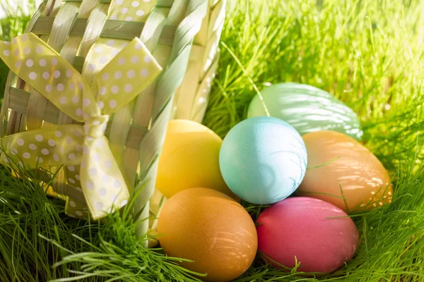 Ostern Bunte Eier Frühling Grünes Gras Sonnenlicht Floralen Abstrakten Hintergrund — Stockfoto
