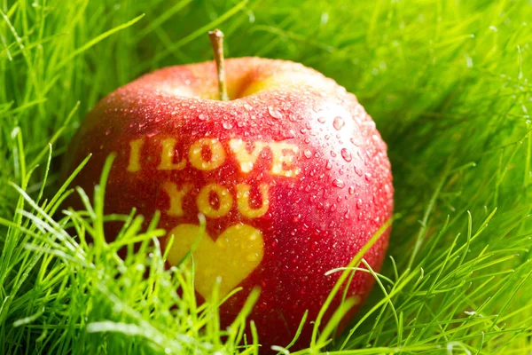 Βιολογικό Μήλο Στο Γρασίδι Την Άνοιξη Την Επιγραφή Αγαπώ Έννοια — Φωτογραφία Αρχείου