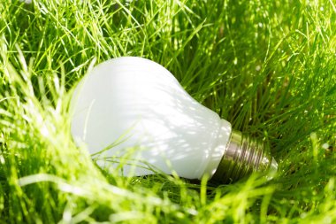 Yeşil enerji kavramı ile çim açık ampul