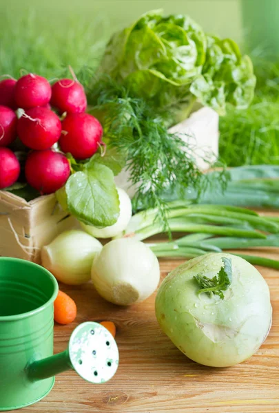 Lente Rauwe Verse Biologische Groenten Oogsten Tuin — Stockfoto