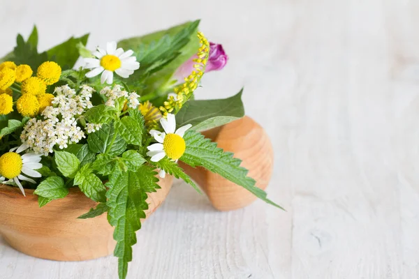 Frische Kräuter Mörser — Stockfoto