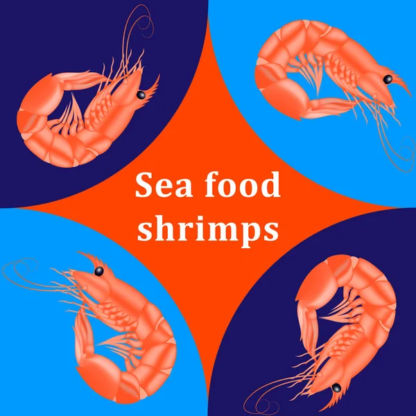 Sea food shrimps. — Stock Vector