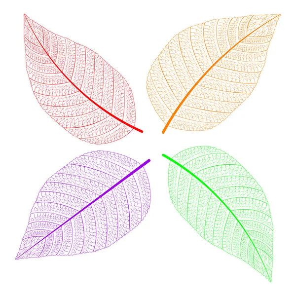 Feuilles multicolores dans le contour — Image vectorielle