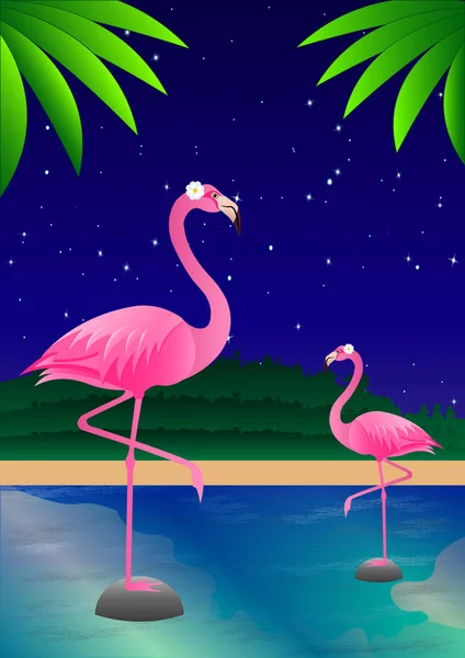 Flamencos en el estanque contra el cielo estrellado de la noche — Vector de stock