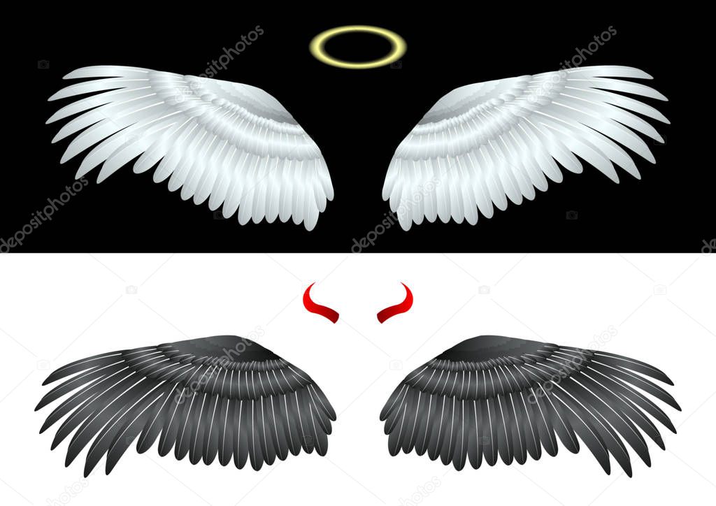 White and Black Wings Angel 