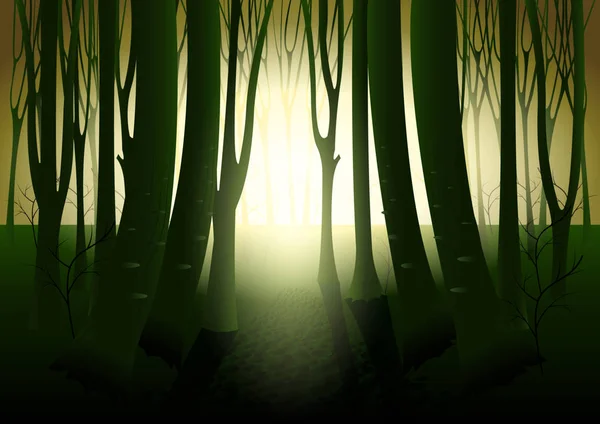 Sötét titokzatos erdő — Stock Vector