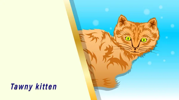 황갈색 고양이 배너 — 스톡 벡터