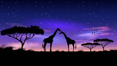 Geceleri Afrika.