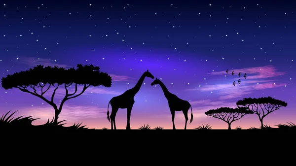 Geceleri Afrika.