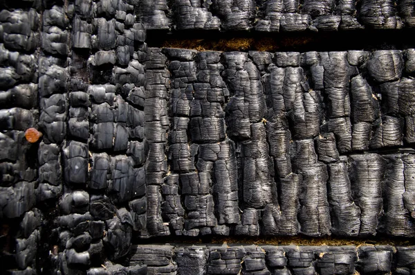 Black burnt wall of house of wooden planks with embossed texture