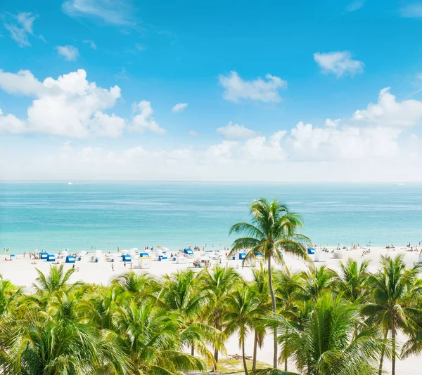 Landscape Blue Sky Turquoise Sea Water Palm Trees Public Beach — Stock Photo, Image