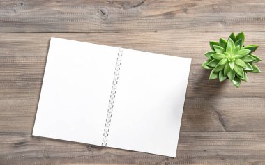 En az düz yatıyordu. Açık kitap ve etli bitki. Ofis Masası