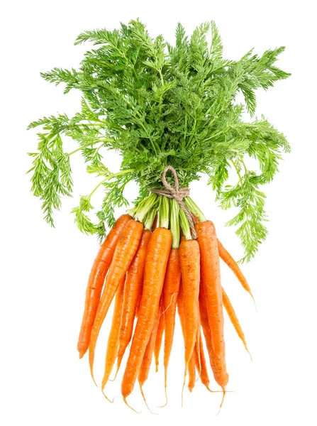 Bunch Carrots Green Leaves Isolated White Background Vegetable Food — Stock Photo, Image