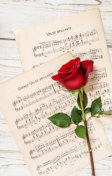 Rode Rose Bloem Muziek Notities Blad — Stockfoto